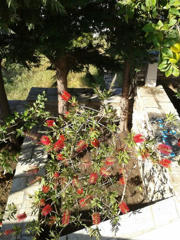 Ioanna'S Villa Pánormos Eksteriør bilde